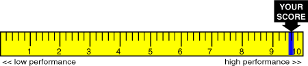Visual representation of your score as a measure on a yardstick.
